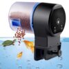 Automatic Food Timer