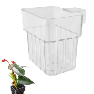 Wall-Mounted Aquarium Plant Holder