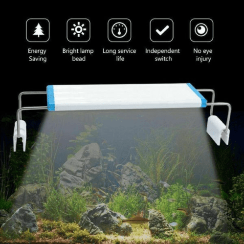 Blue Pet LED Bracket WRGB Light BR-60