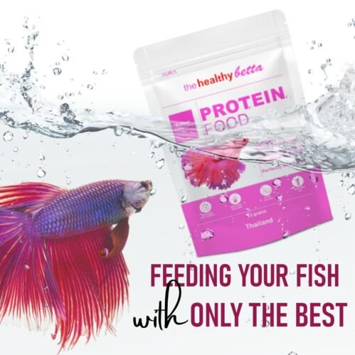 Aura The Healthy Betta Protein Food