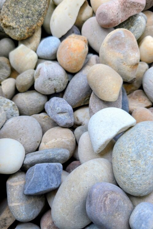 PXL 20260109 0632000722