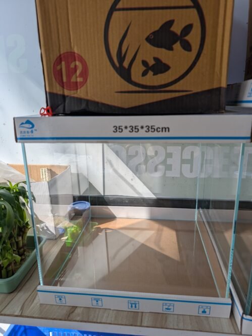 PXL 20260109 093438462