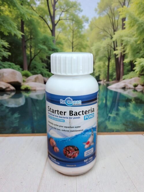 Beneficial Live Bacteria 60g