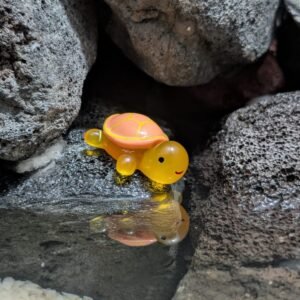 Small Aquarium Turtle Toy