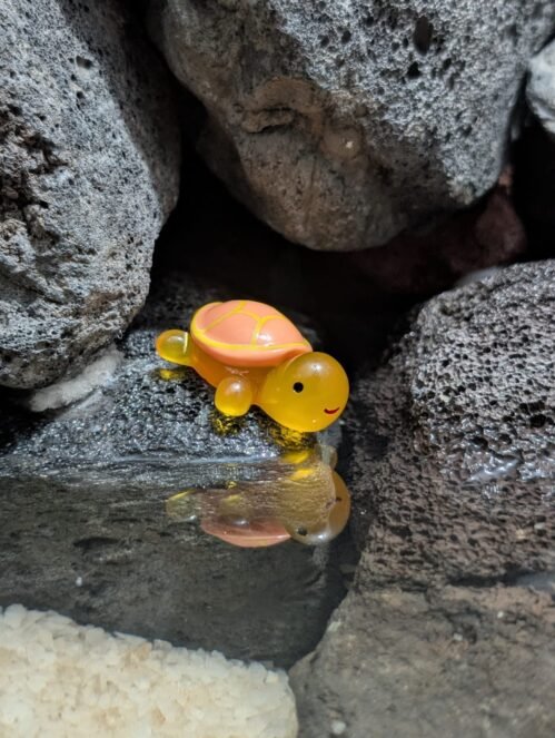 Small Aquarium Turtle Toy