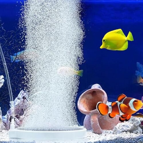 2-Inch White Round Air Stone Disc