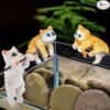 Cute Tiny Hanging Kitten Cat On Fish Tank