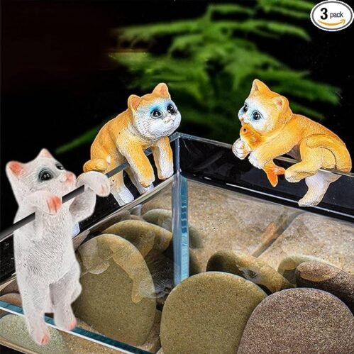 Cute Tiny Hanging Kitten Cat On Fish Tank