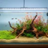 Natural Nile River Sand for Aquarium Fish Tank