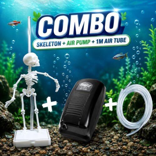 Dancing Skeleton with Airpump combo