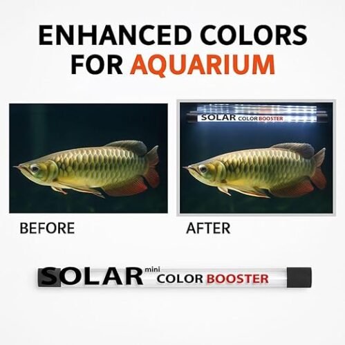 Bluepet Solar Colour Booster Aquarium LED Light