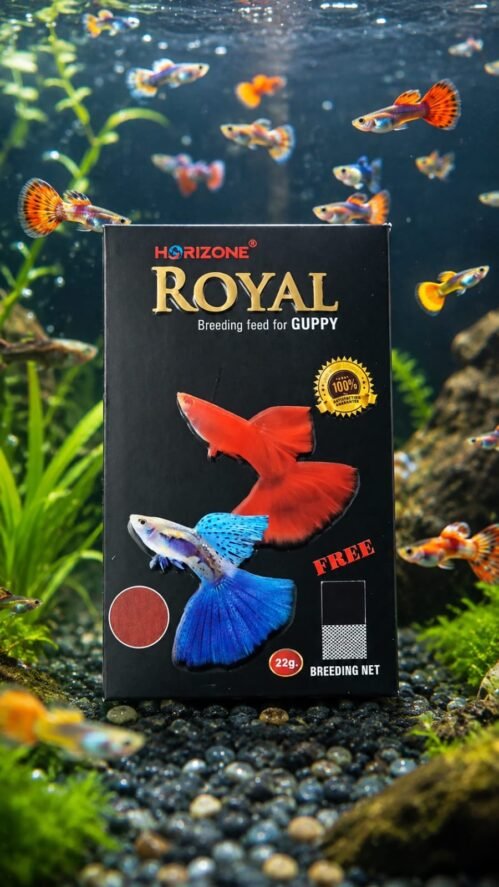 Horizon Royal Breeding Feed for Guppy