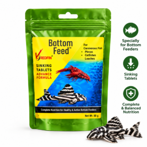 Redfin Bottom Feeder Fish Food