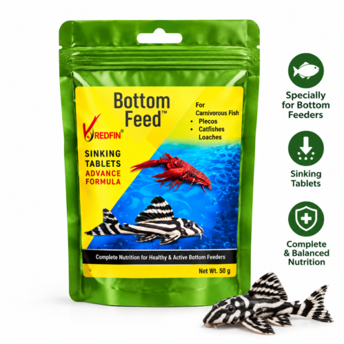 Redfin Bottom Feeder Fish Food