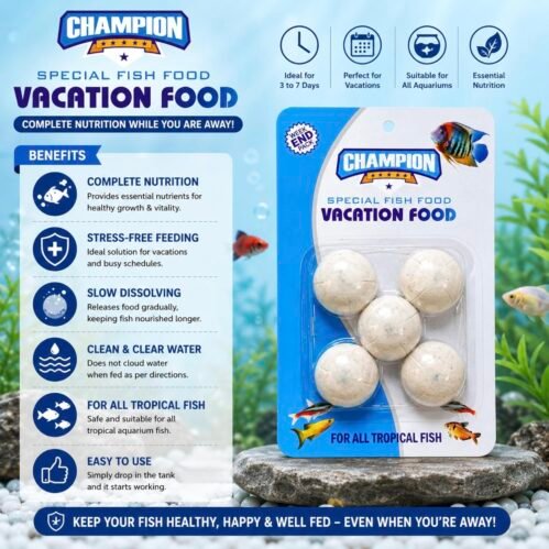 Champion Vacation Fish Food for Tropical Aquarium Fish