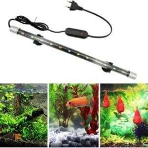 Aquarium Lighting for Juvenile Fish: Essential Tips for Healthy Growth